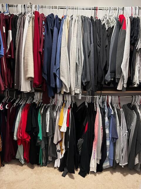 walk in closet featuring carpet flooring