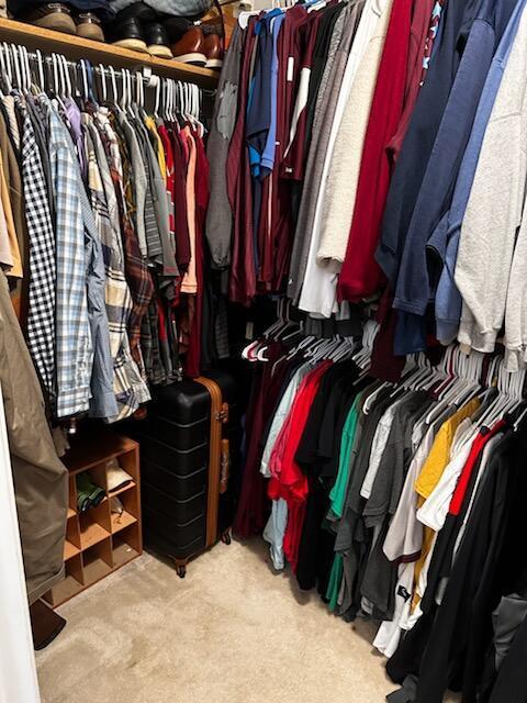 walk in closet featuring carpet