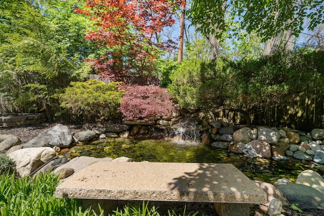 view of yard with a small pond