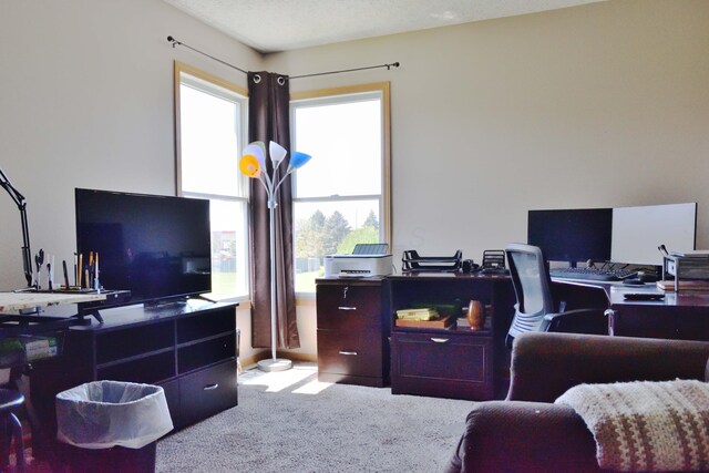2651 Winningwillow Dr, Columbus, OH 43207 - office with healthy amount of natural light and carpet floors