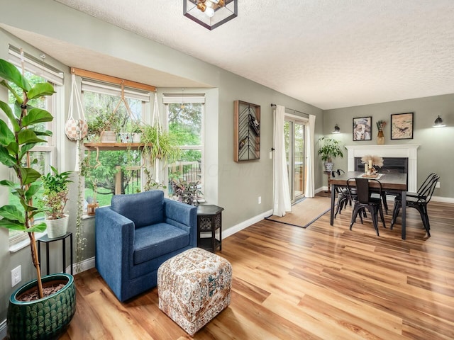 living room featuring a textured ceiling, wood finished floors, and baseboards