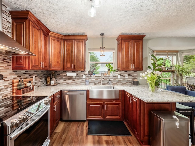 kitchen with light wood-style flooring, a peninsula, stainless steel appliances, a sink, and wall chimney exhaust hood