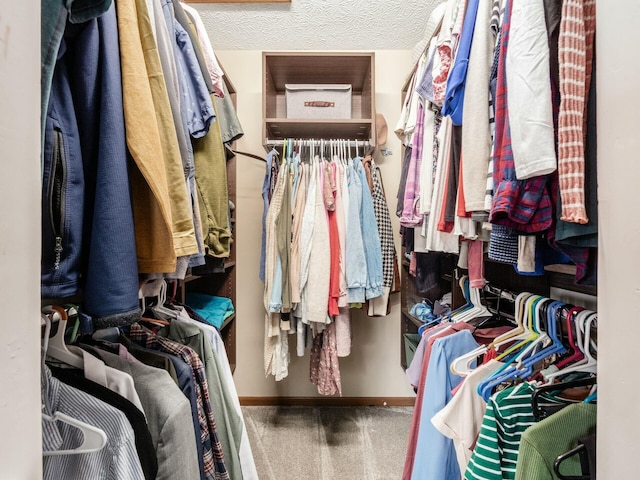 walk in closet featuring carpet flooring