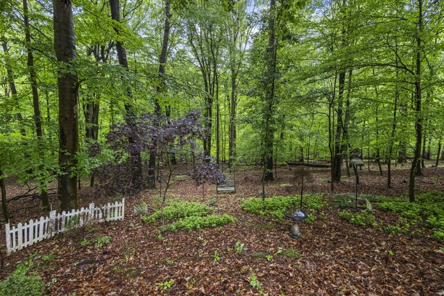 553 Floral Valley Dr W, Howard, OH 43028 - photo 28