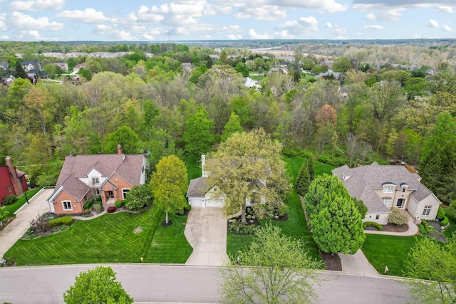bird's eye view