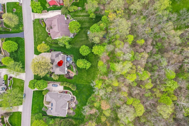 drone / aerial view