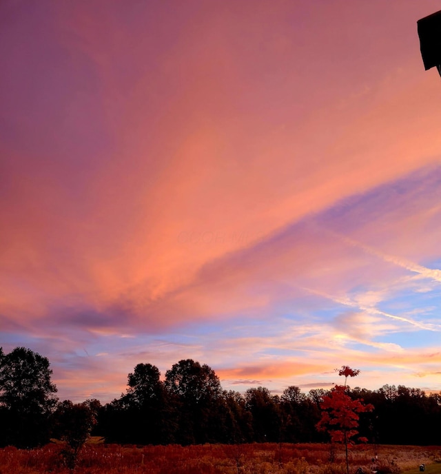 view of nature at dusk