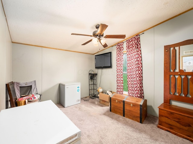 office featuring ceiling fan, ornamental molding, carpet flooring, and a textured ceiling