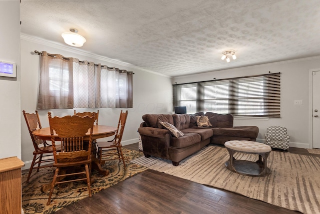 living room featuring ornamental molding and a textured ceiling