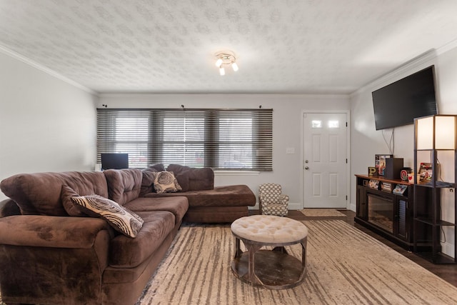 living room featuring crown molding, a textured ceiling, and a healthy amount of sunlight