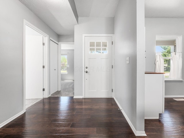 foyer featuring baseboards, plenty of natural light, and wood finished floors