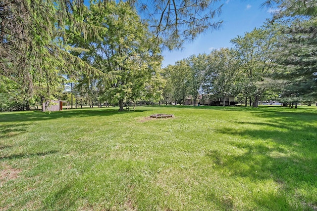 4959 Hughes Rd, Prospect, OH 43342 - view of grassy yard
