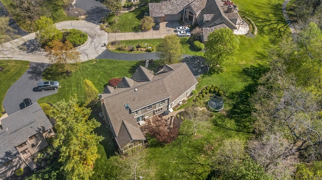 bird's eye view