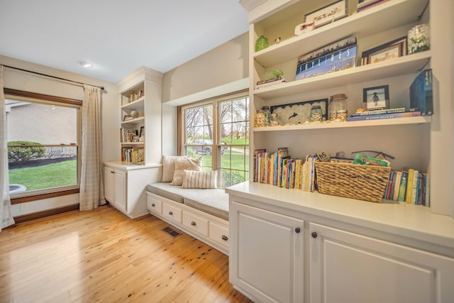 sitting room with a wealth of natural light and light wood-type flooring