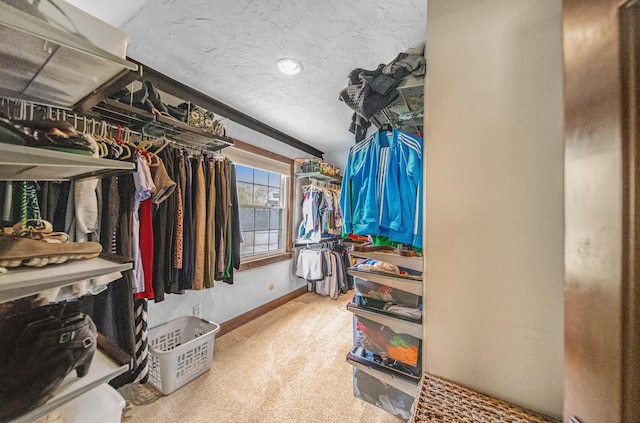 walk in closet featuring carpet flooring