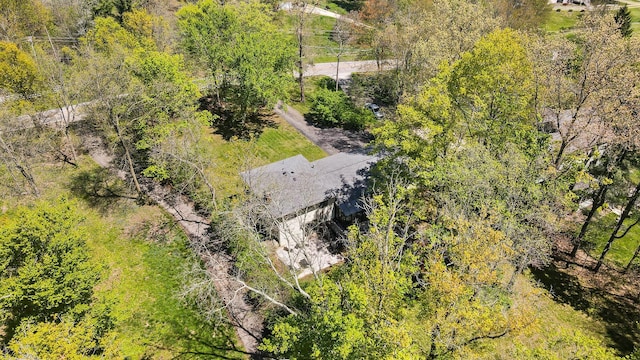 7363 Cook Rd, Powell, OH 43065 - photo 6