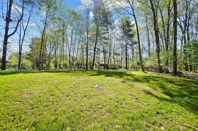 7363 Cook Rd, Powell, OH 43065 - photo 73