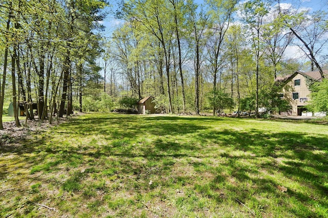 7363 Cook Rd, Powell, OH 43065 - photo 74