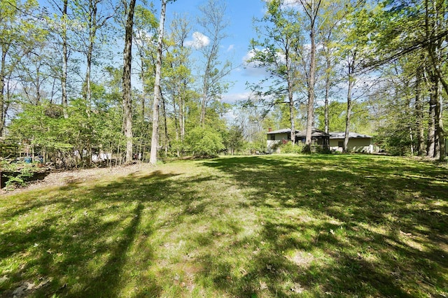 7363 Cook Rd, Powell, OH 43065 - photo 75