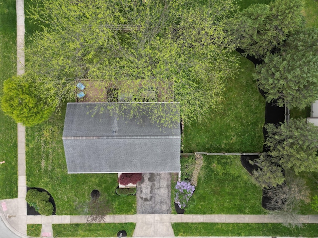 drone / aerial view