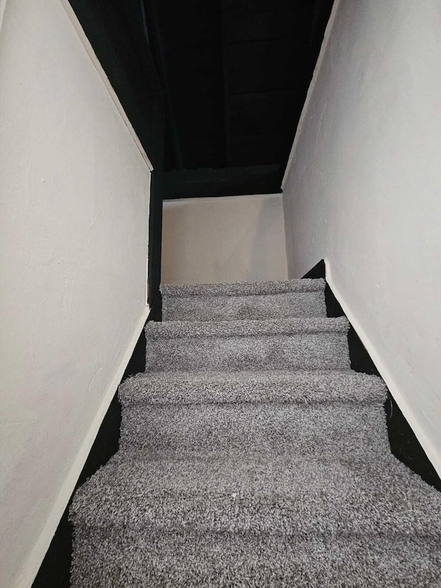 staircase with carpet floors