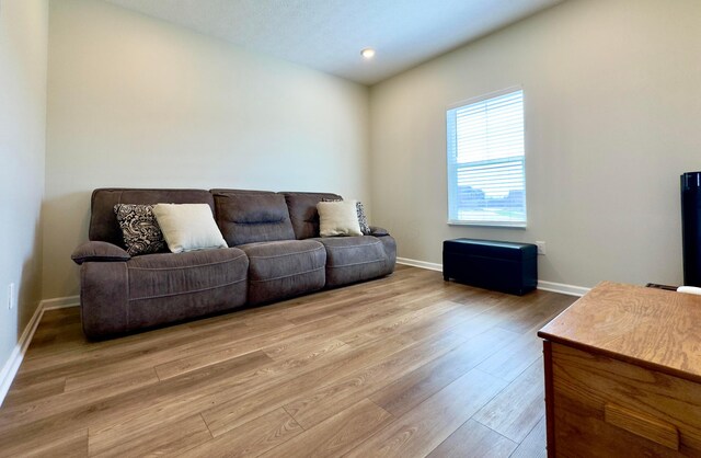 living area with baseboards and wood finished floors