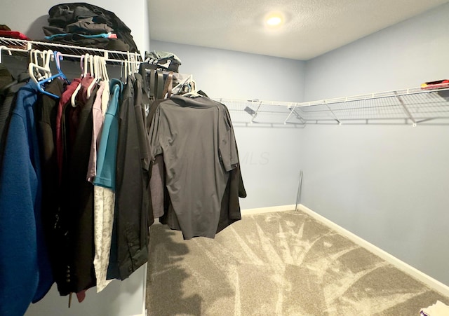 walk in closet with carpet flooring