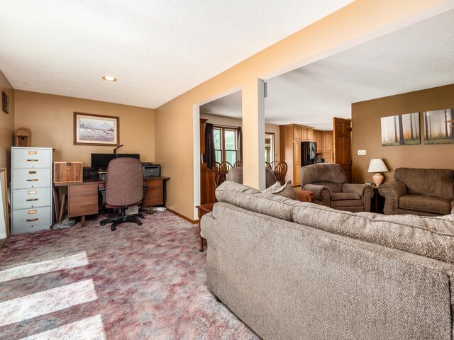 1305 Cooperriders Rd NW, Somerset, OH 43783 - living room with baseboards and light colored carpet