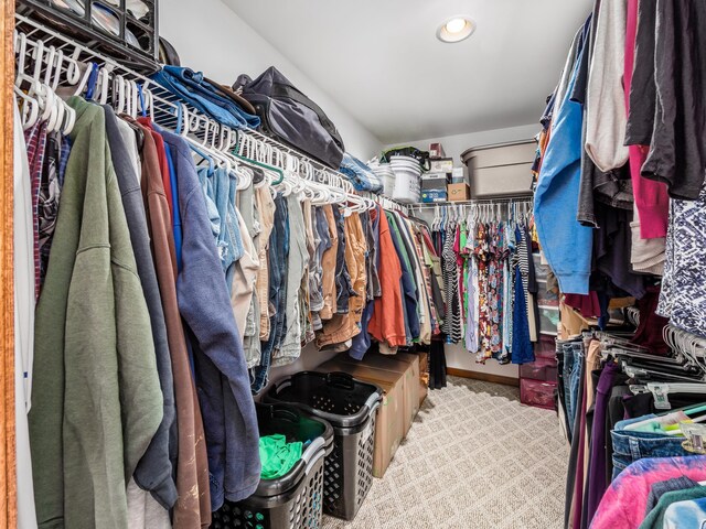 1305 Cooperriders Rd NW, Somerset, OH 43783 - walk in closet with carpet floors