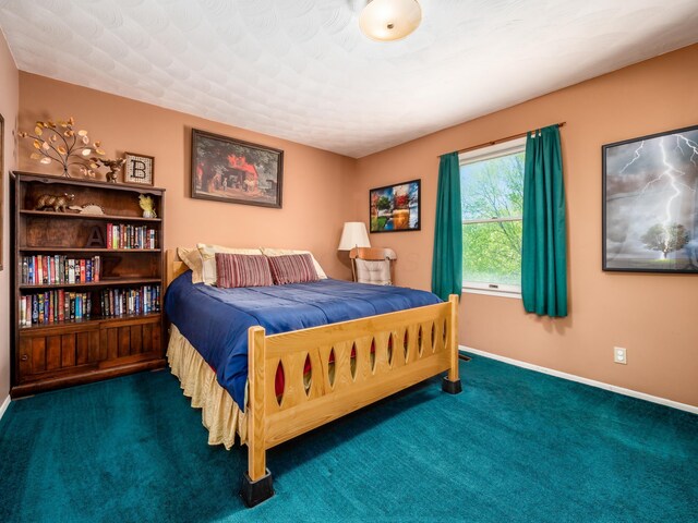 1305 Cooperriders Rd NW, Somerset, OH 43783 - bedroom with baseboards and carpet