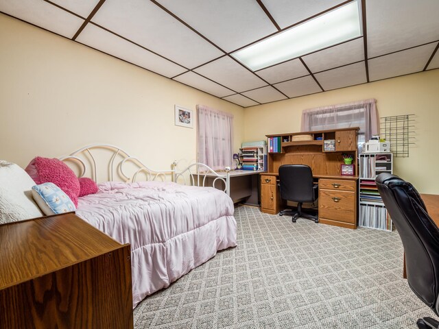 1305 Cooperriders Rd NW, Somerset, OH 43783 - bedroom featuring a drop ceiling and light colored carpet