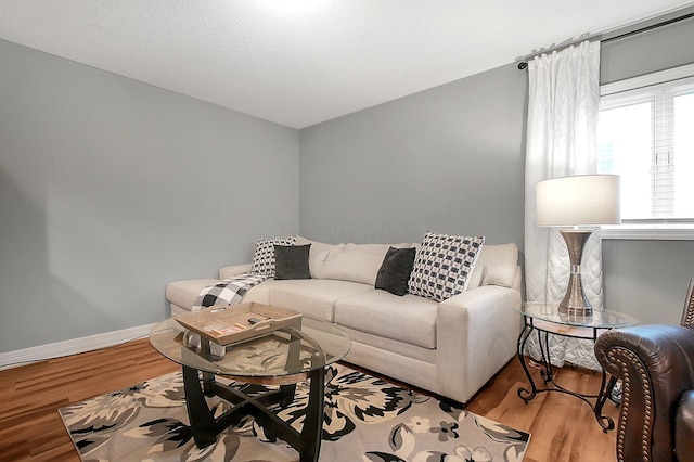 living area with baseboards and wood finished floors