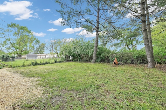 542 E Franklin St, Circleville, OH 43113 - view of yard with fence