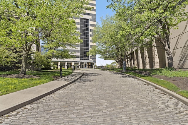 1 Miranova Pl Unit 1505, Columbus, OH 43215 - view of property's community