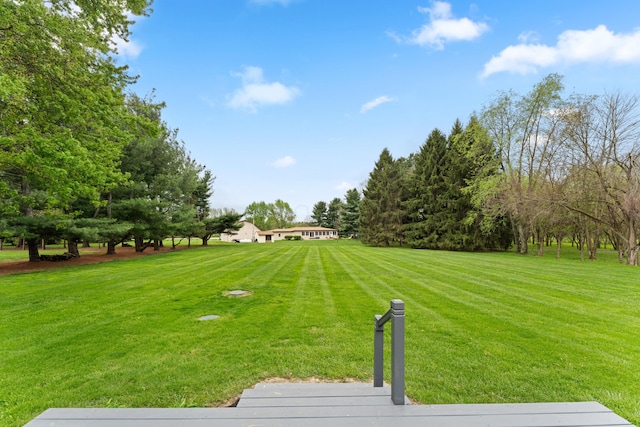 view of yard