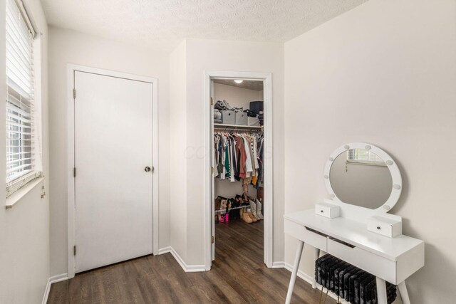 interior space with a closet, baseboards, dark wood-type flooring, a textured ceiling, and a spacious closet