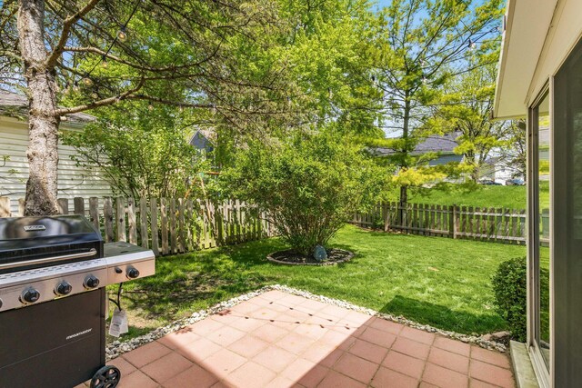 view of yard featuring a fenced backyard and a patio area