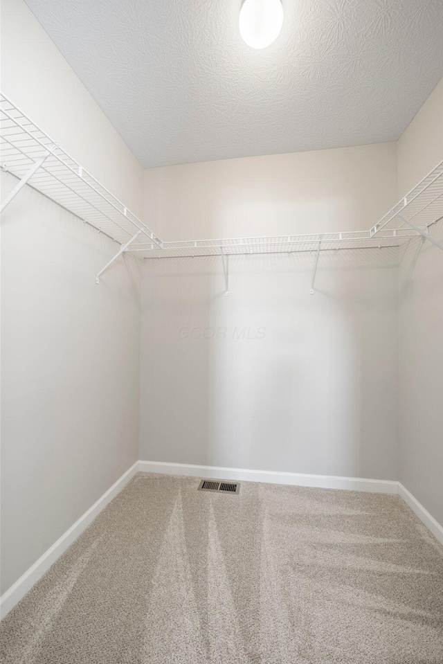 spacious closet with carpet floors and visible vents