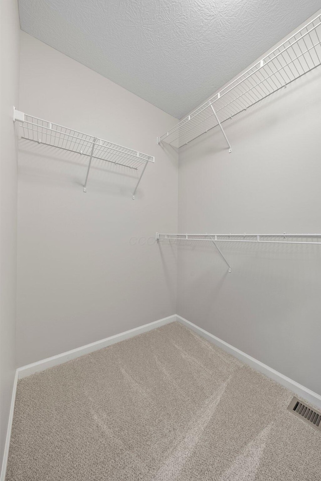 spacious closet featuring carpet floors and visible vents