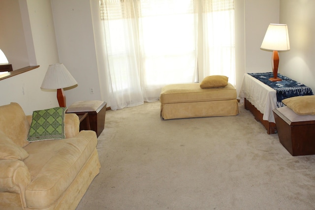 carpeted bedroom featuring multiple windows