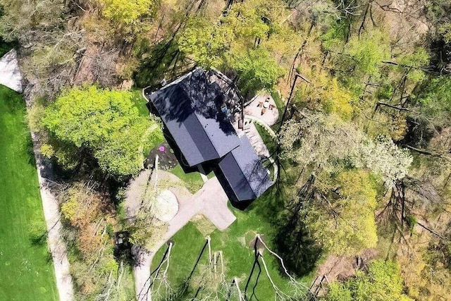 drone / aerial view