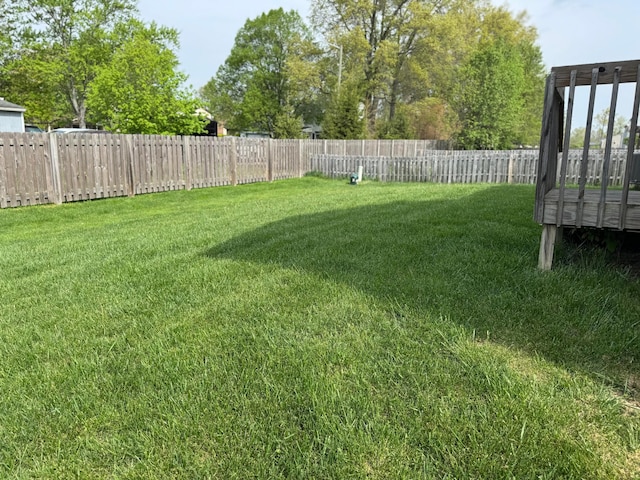 view of yard featuring a fenced backyard