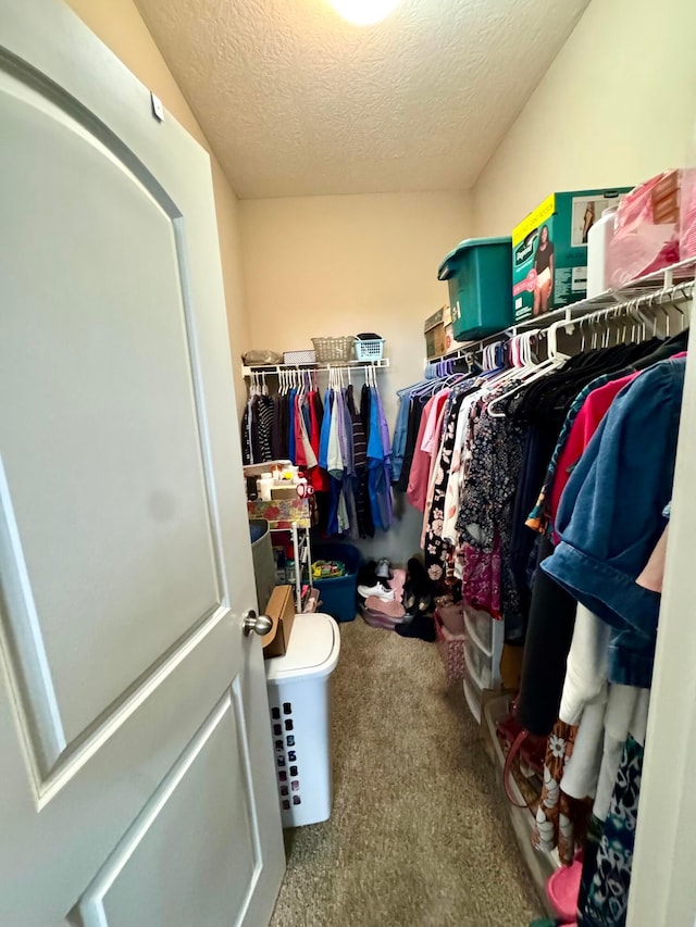 walk in closet featuring carpet floors