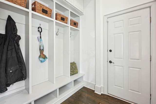 mudroom with dark wood-type flooring