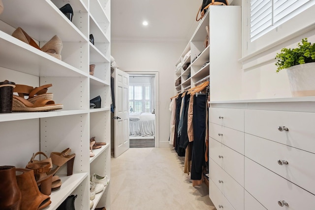 walk in closet with light carpet