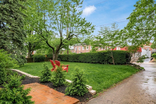 1938 W 5th Ave, Columbus, OH 43212 - view of yard
