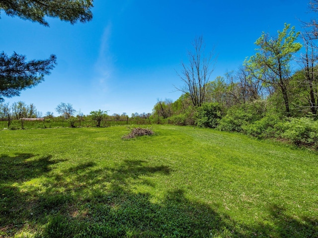 view of yard with a rural view