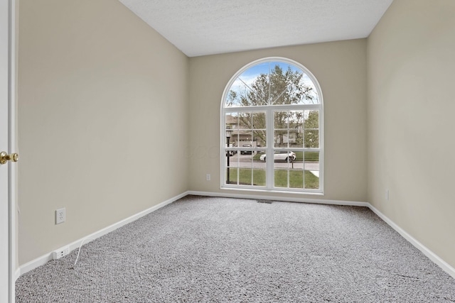 carpeted empty room featuring a wealth of natural light, baseboards, and a textured ceiling