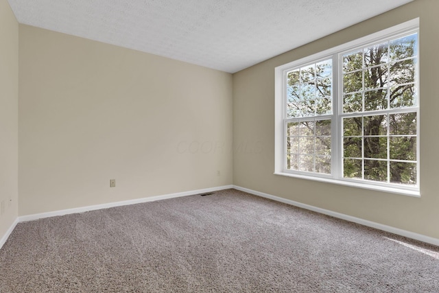 spare room featuring carpet flooring, a textured ceiling, baseboards, and a healthy amount of sunlight