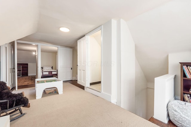 additional living space featuring vaulted ceiling